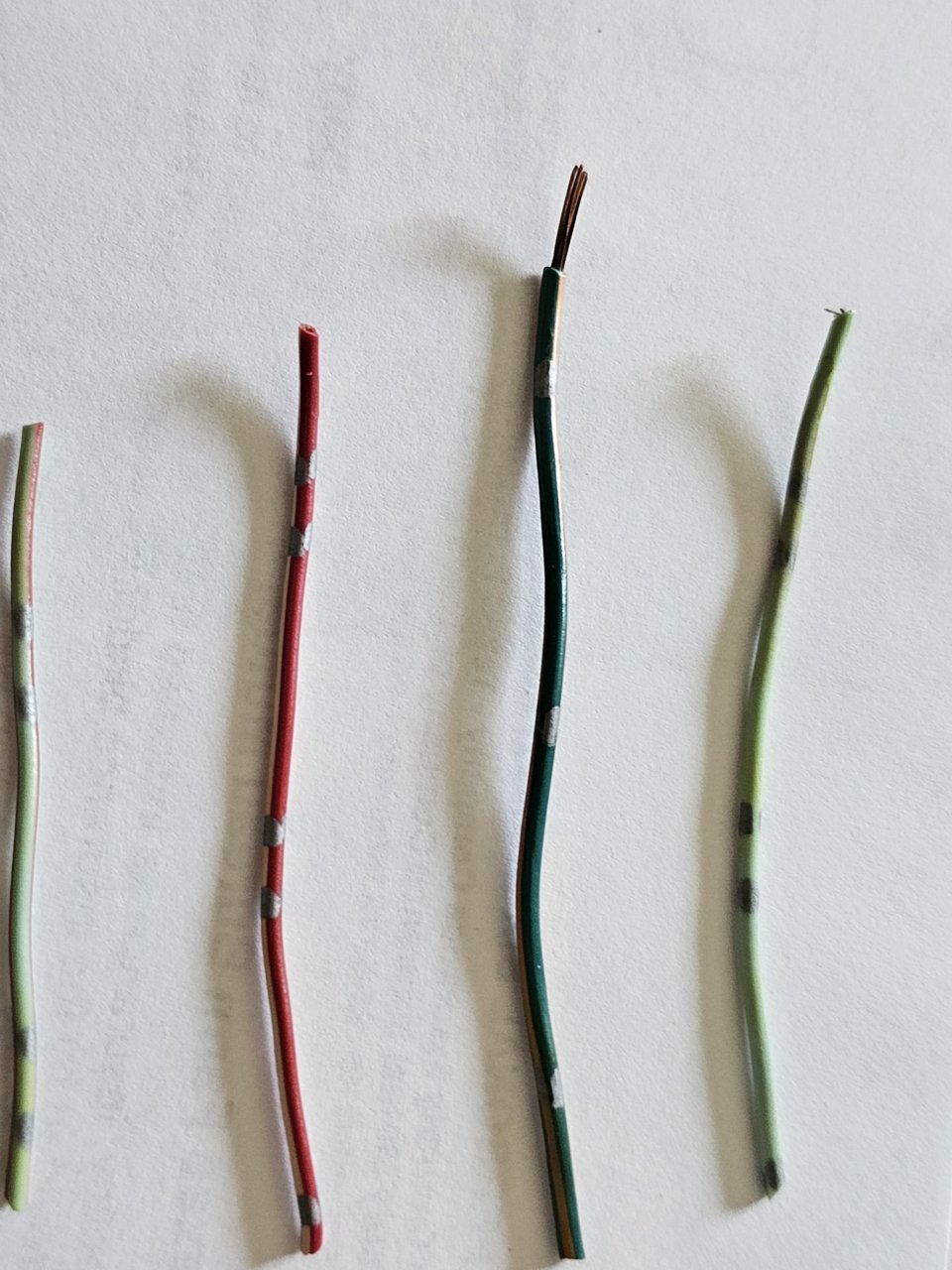 20230619_124543.jpg