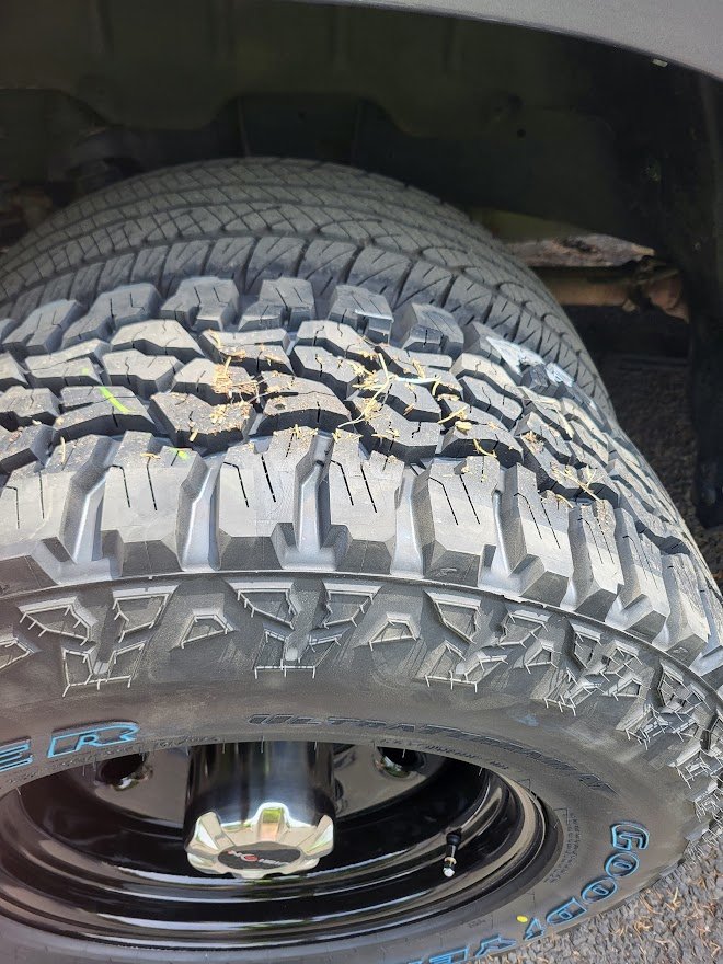  Meguiar's Ultimate Black Plastic Restorer Endurance Tire Gel  Bundle : Everything Else