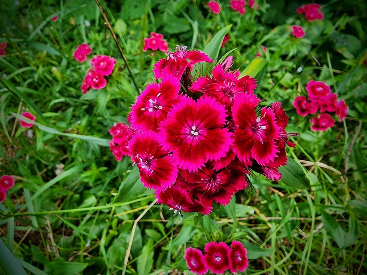 20230702_151330~2.jpg