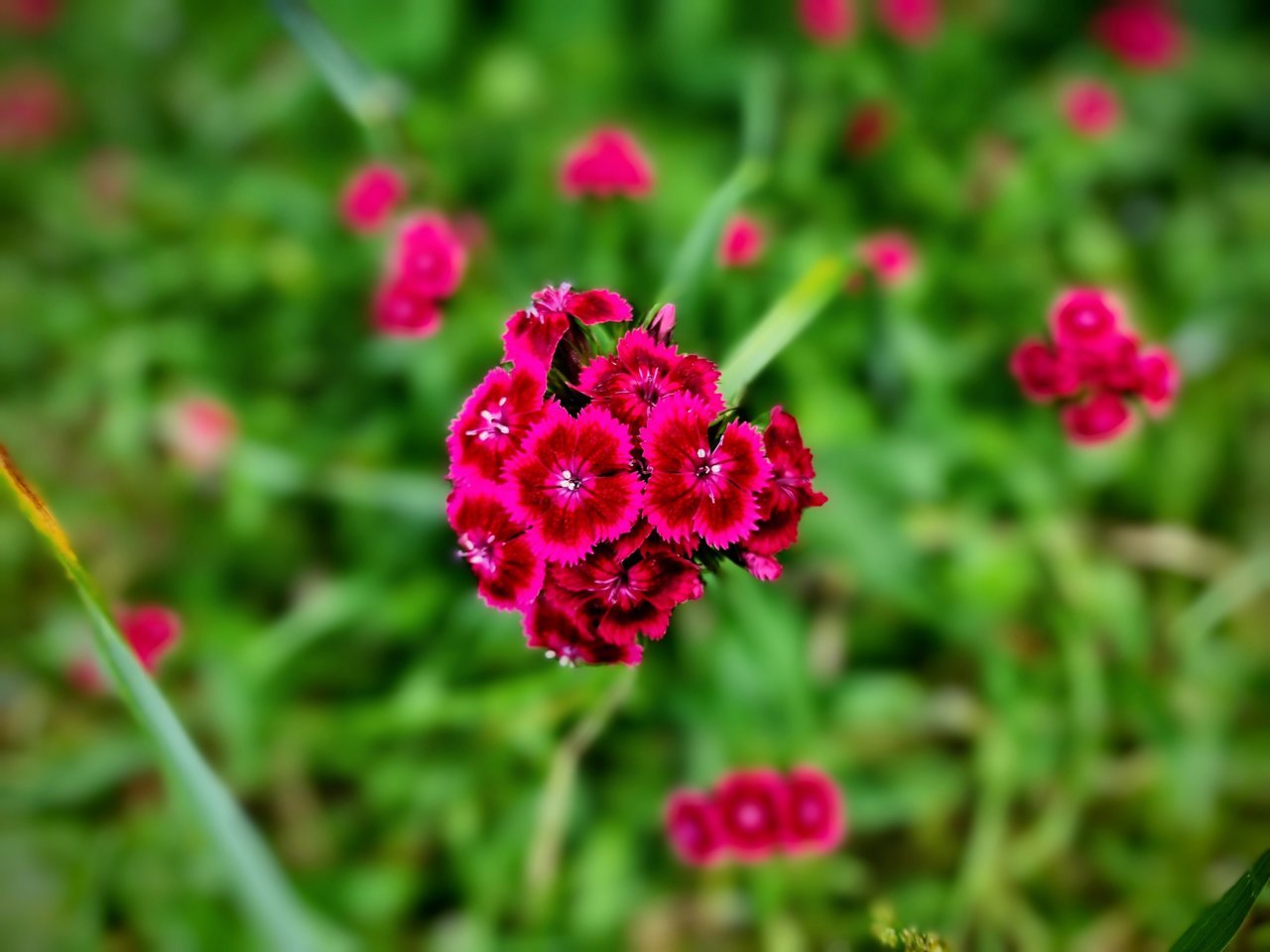 20230702_151344~3.jpg