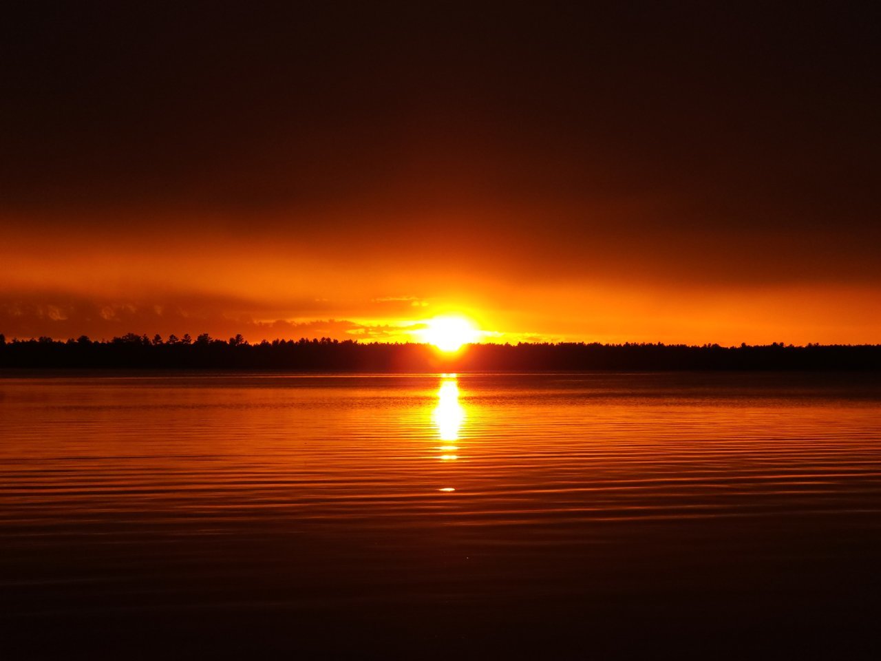 20230703_204222.jpg