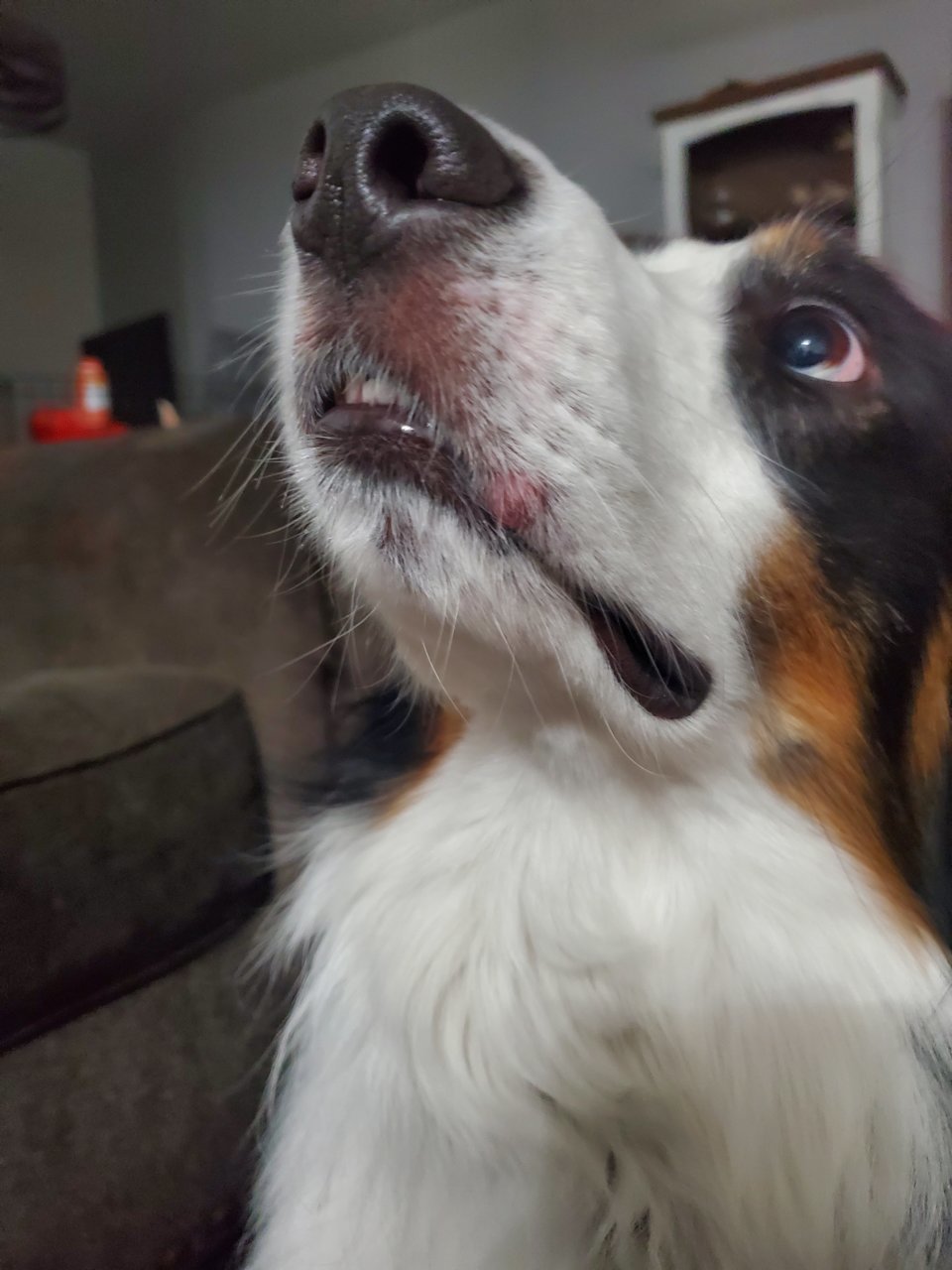 20230719_194720.jpg