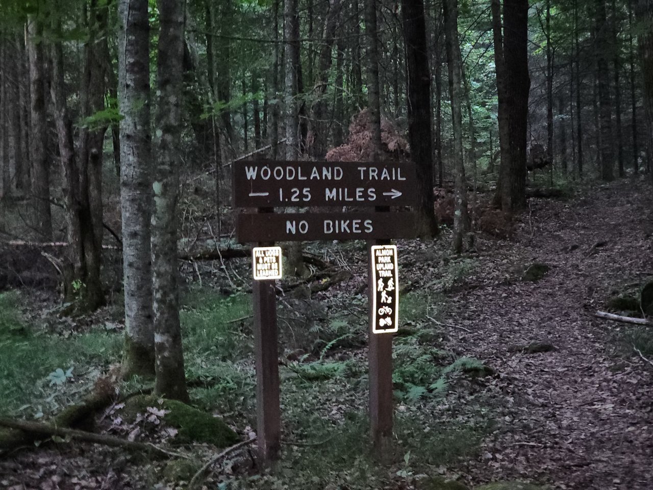 20230729_203524.jpg