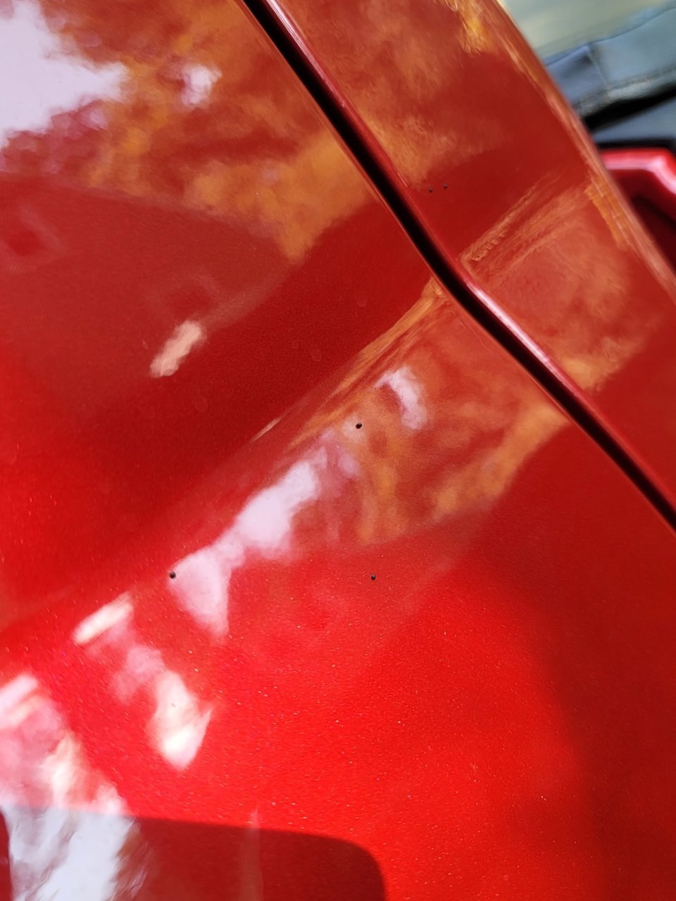 20230805_104139.jpg