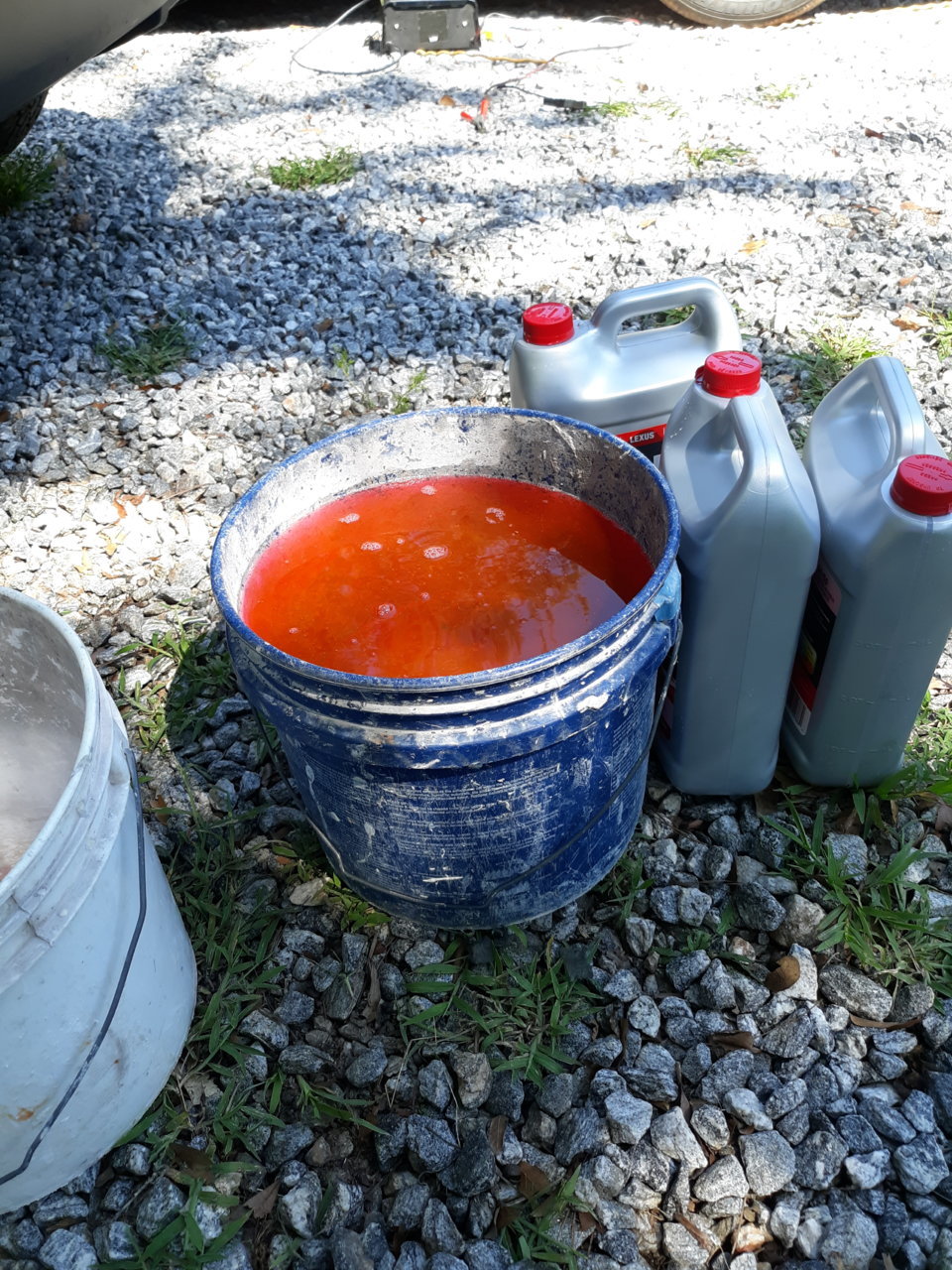 20230817_153612.jpg