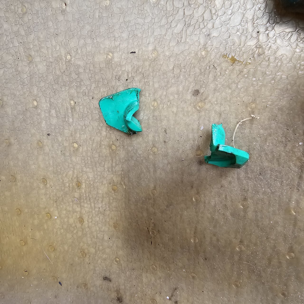 20230825_155316.jpg