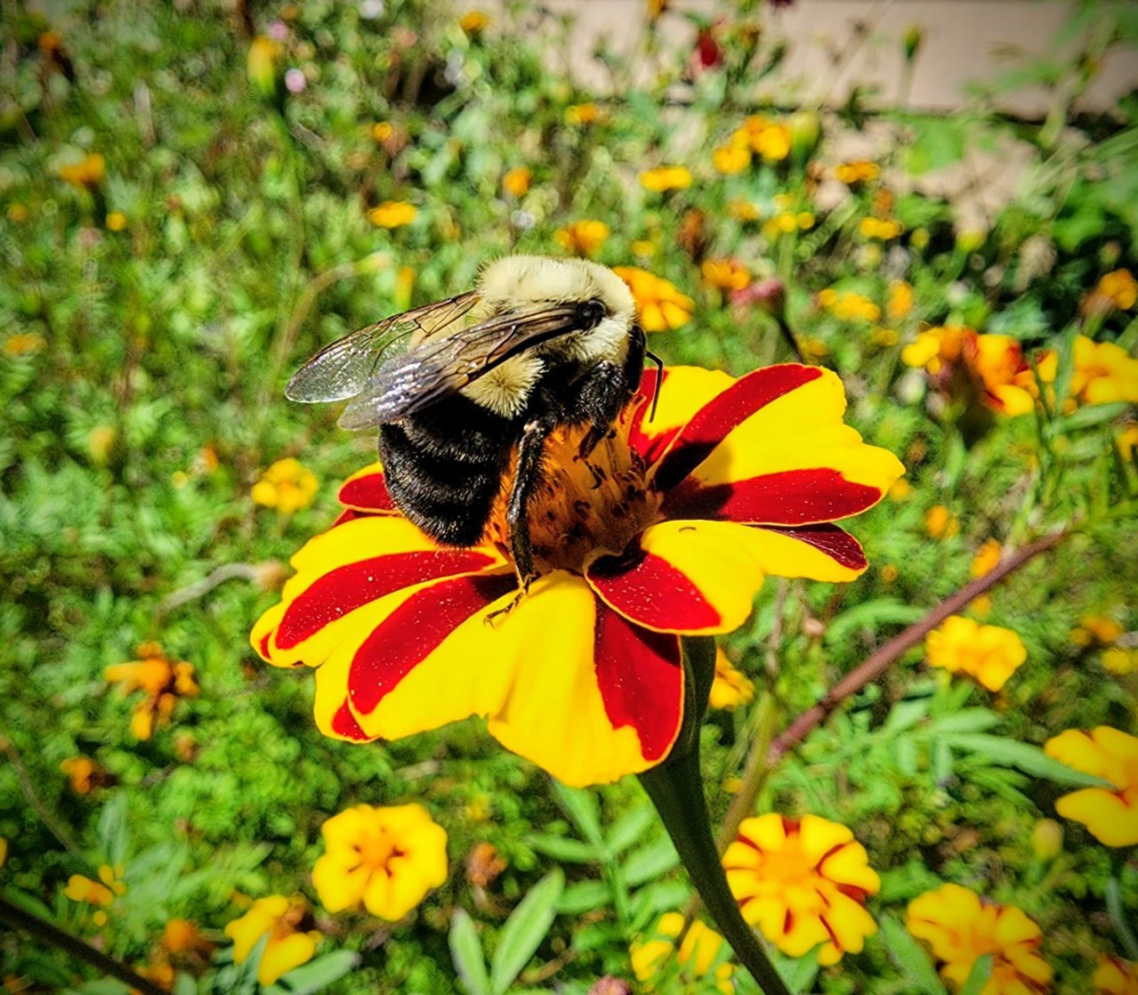 20230830_145851~2.jpg
