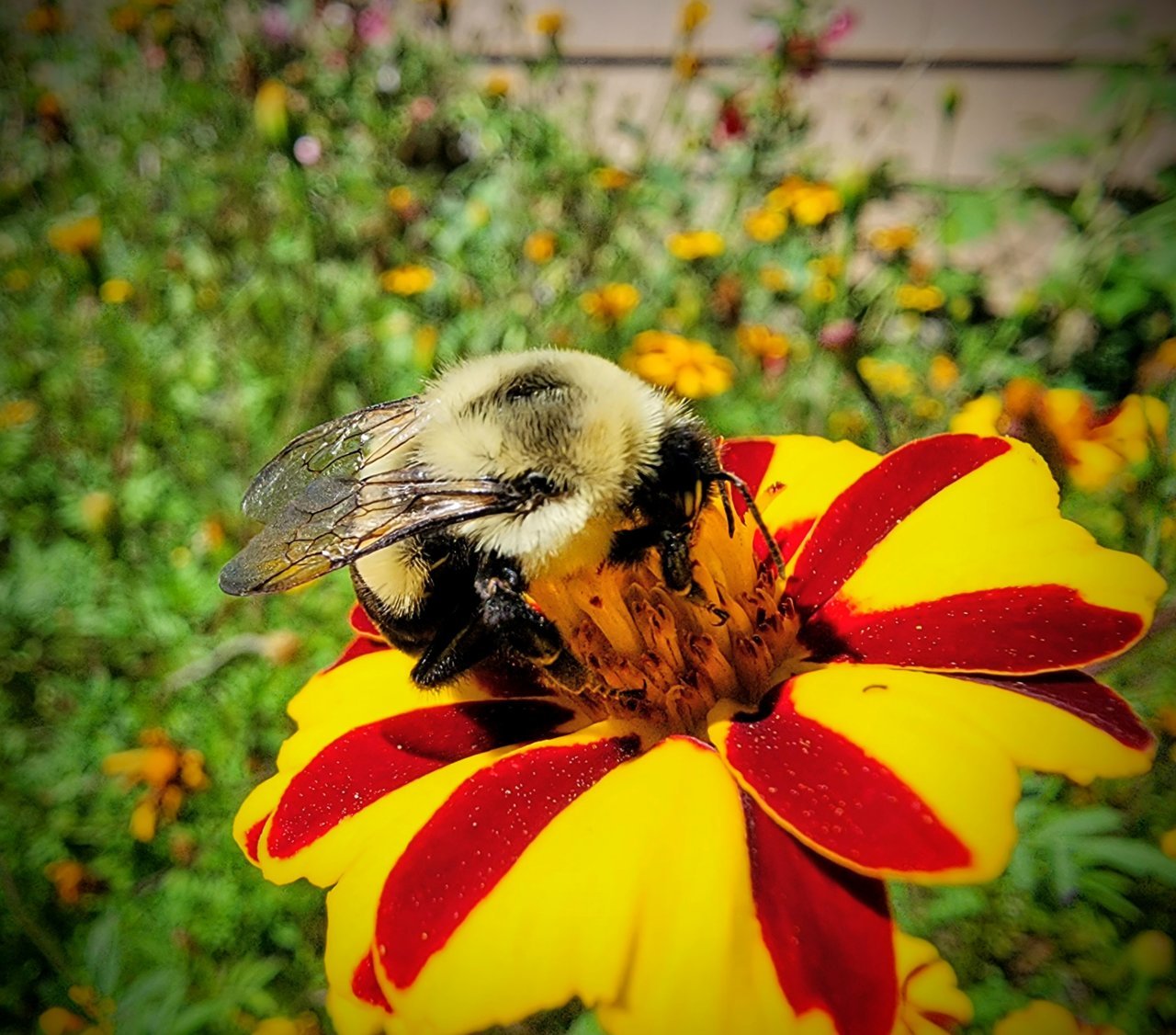 20230830_145859~2.jpg