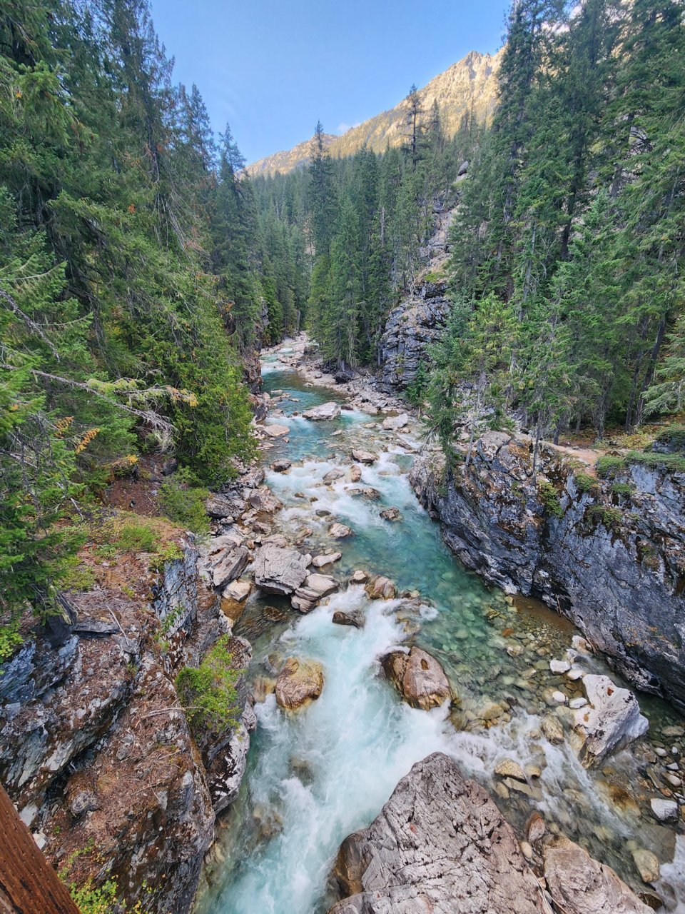 20230906_180231.jpg