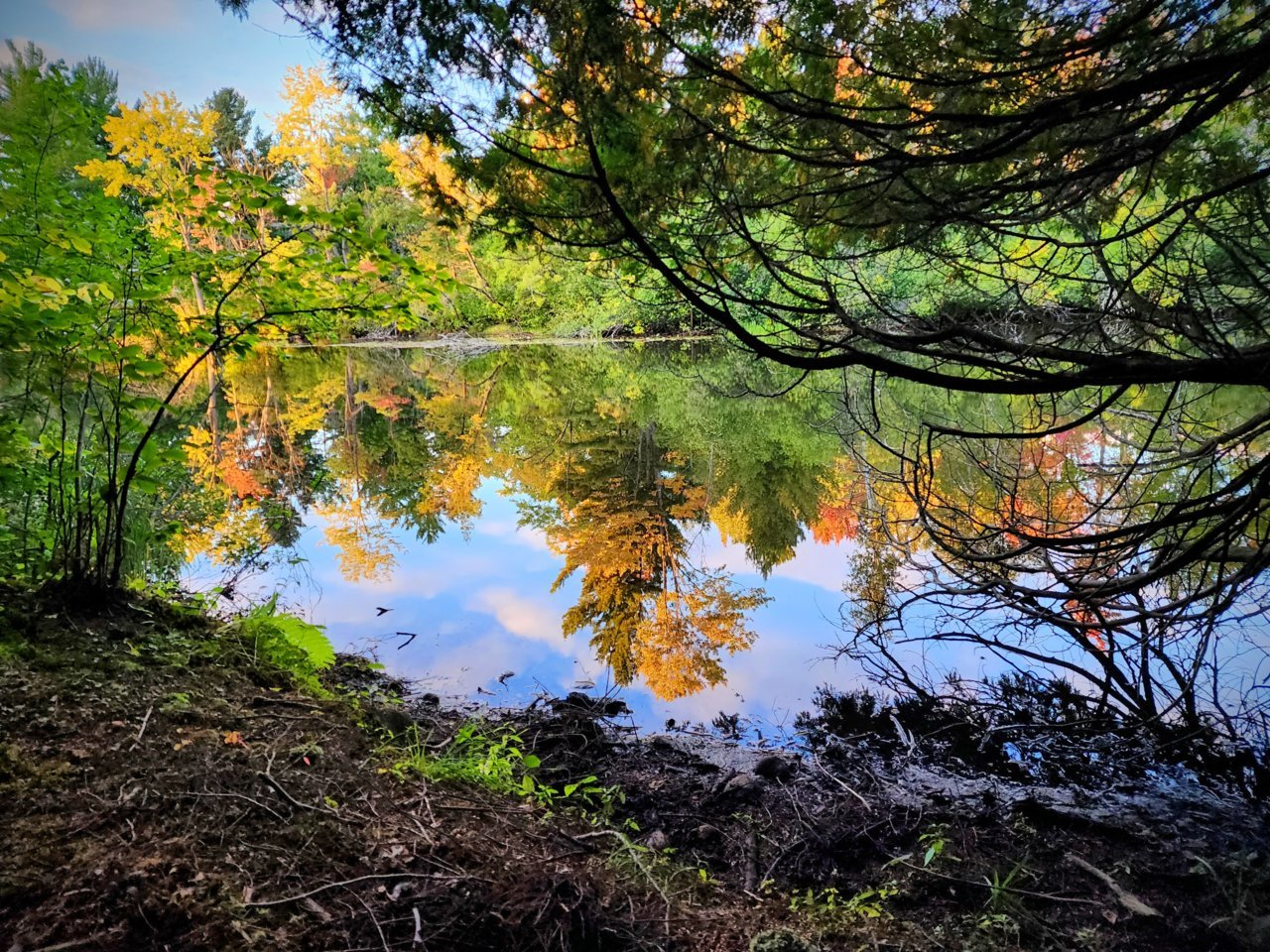 20230917_184319~2.jpg
