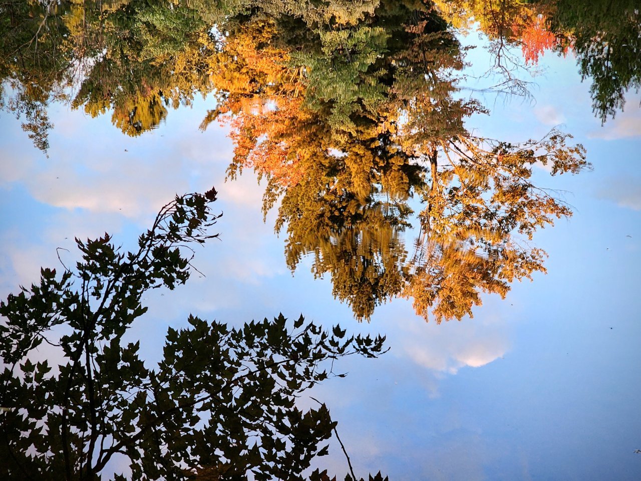 20230917_184857~2.jpg