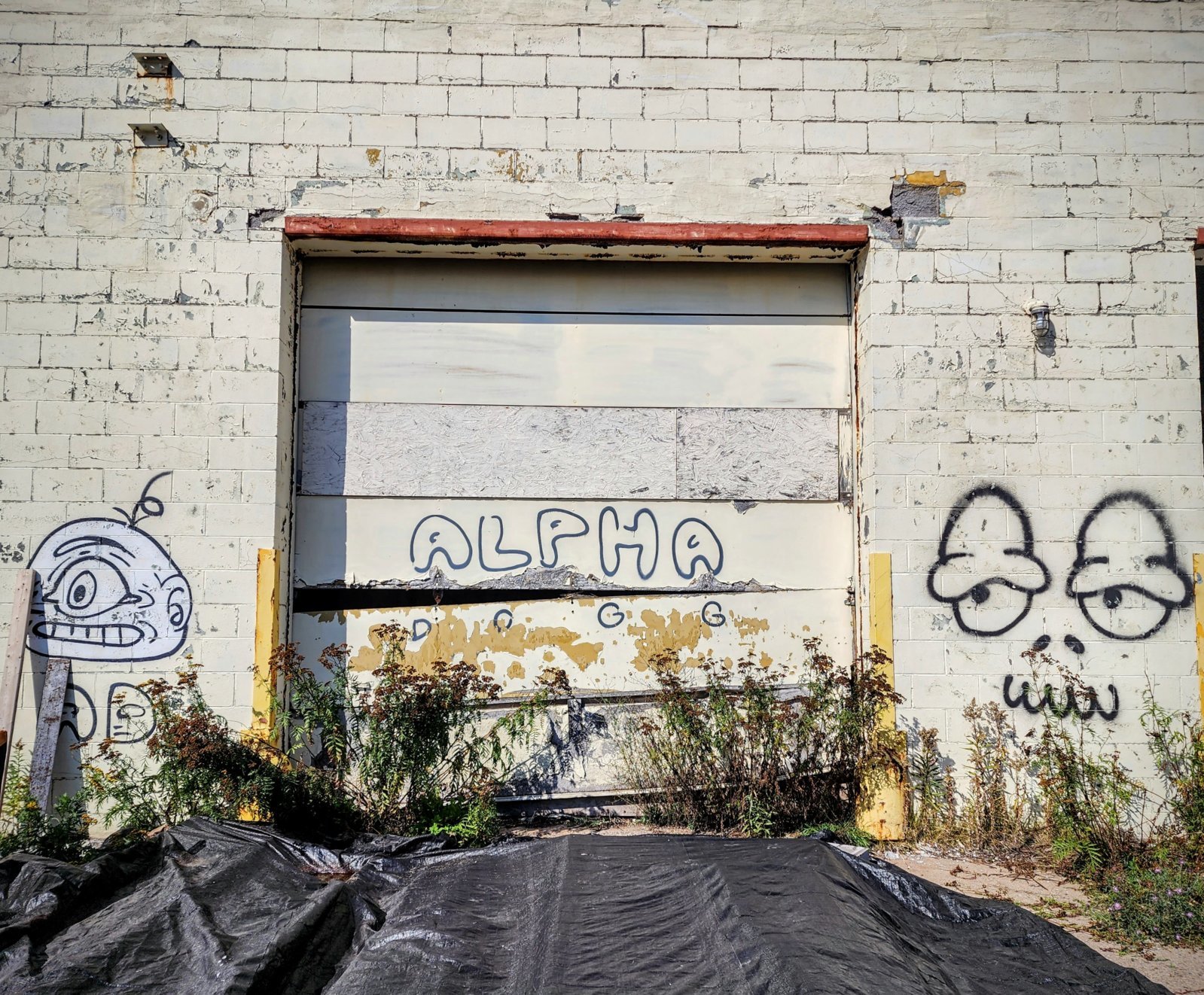 20231003_123719~2.jpg