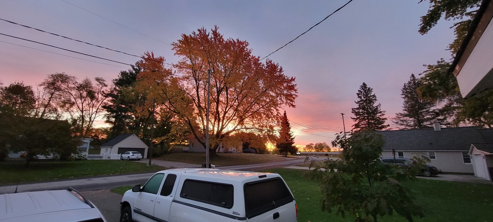 20231021_075418.jpg
