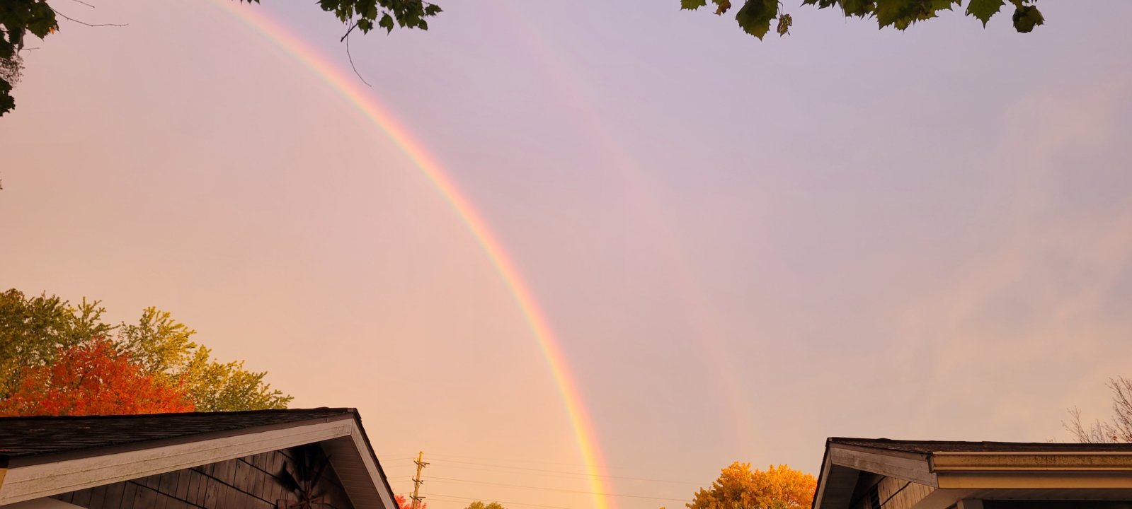 20231021_081111.jpg