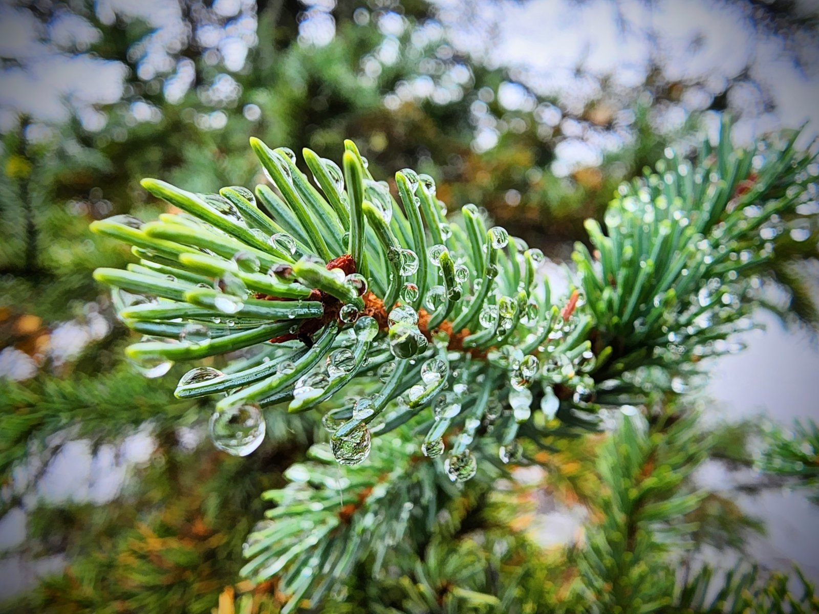 20231025_103332~2.jpg