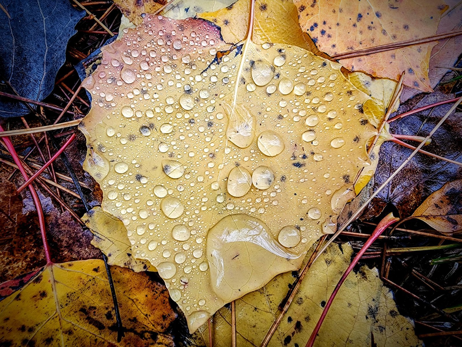 20231025_111708~2.jpg