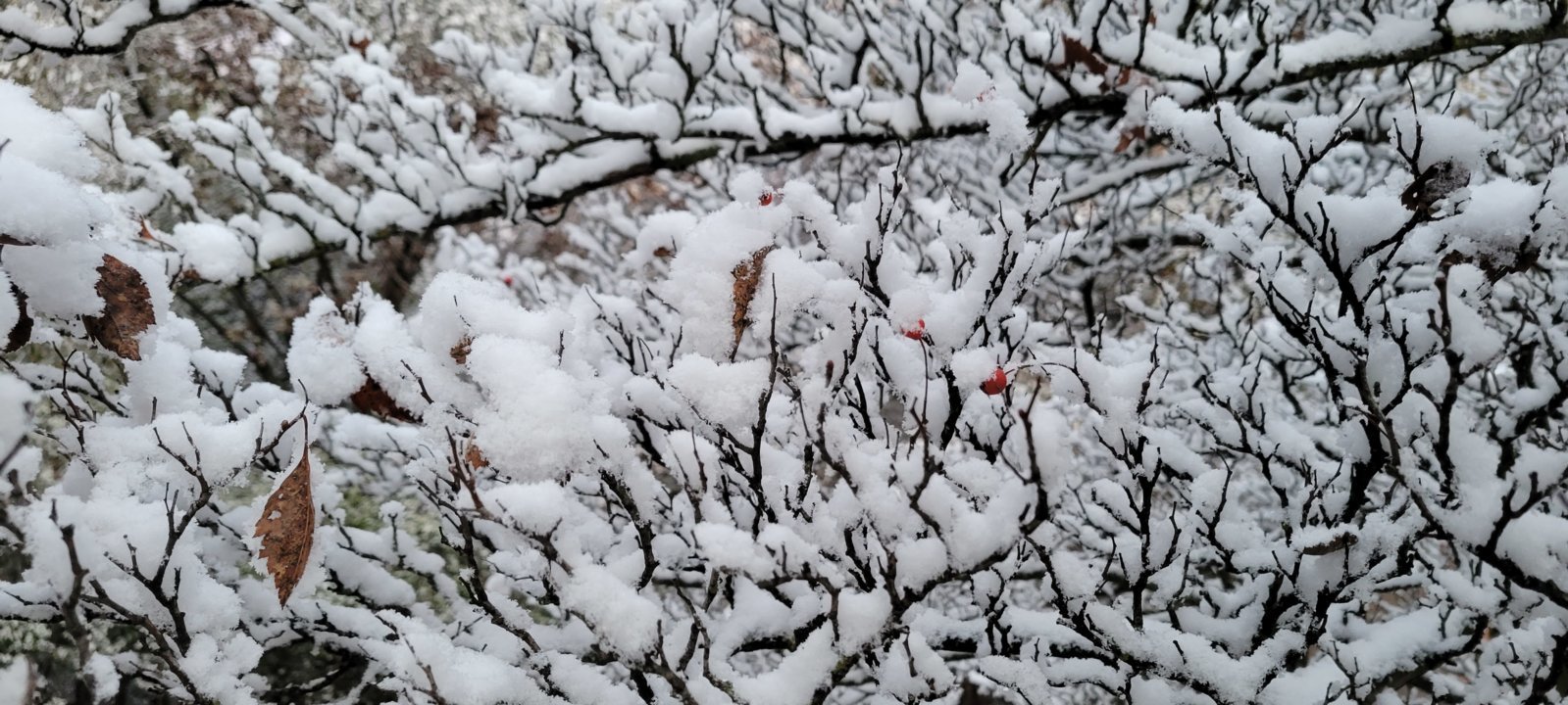 20231101_081429.jpg