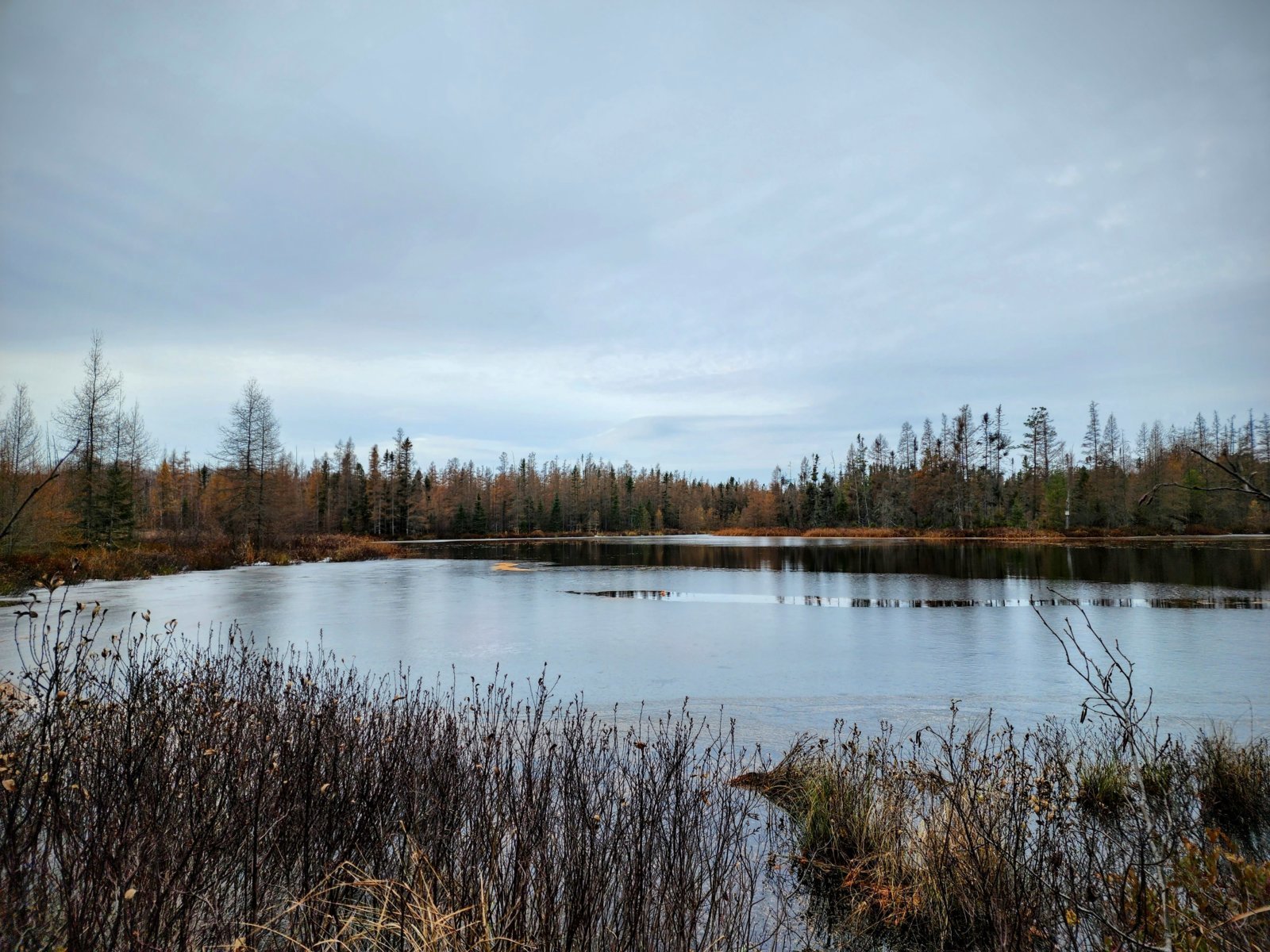 20231105_092946~4.jpg