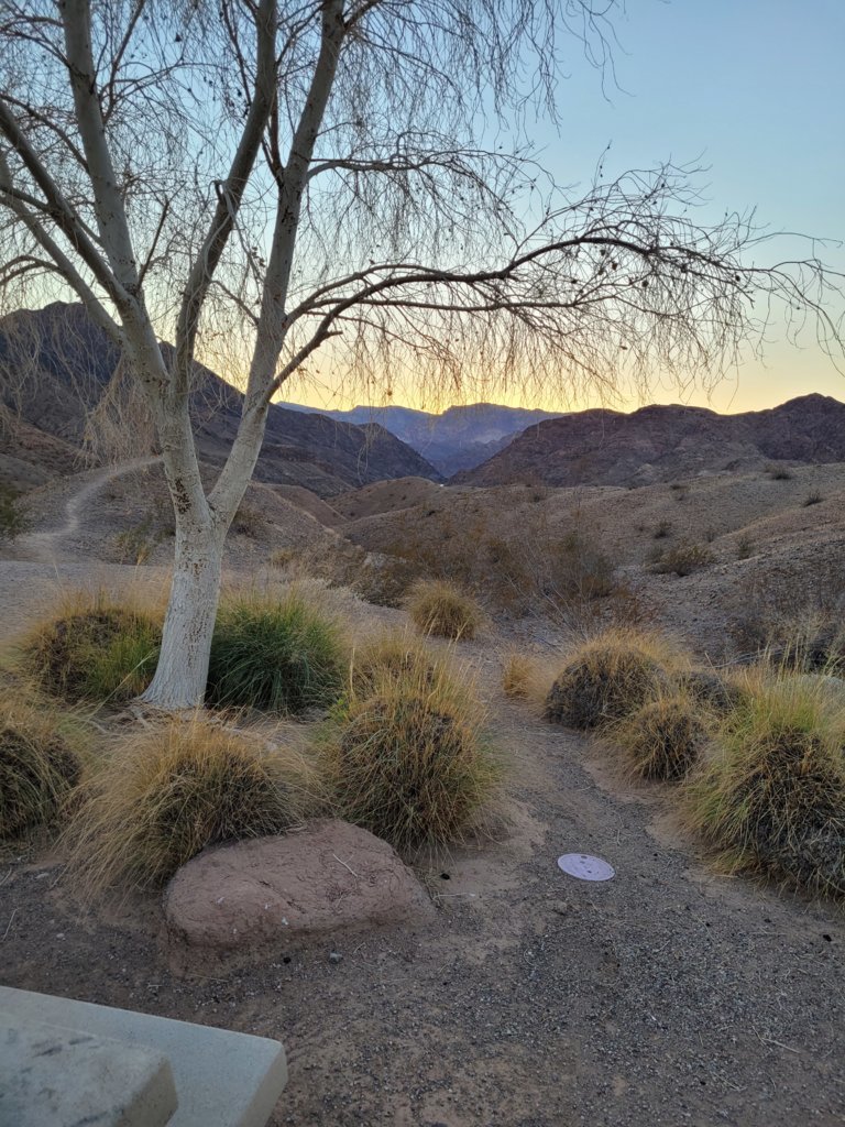 20231111_172832.jpg