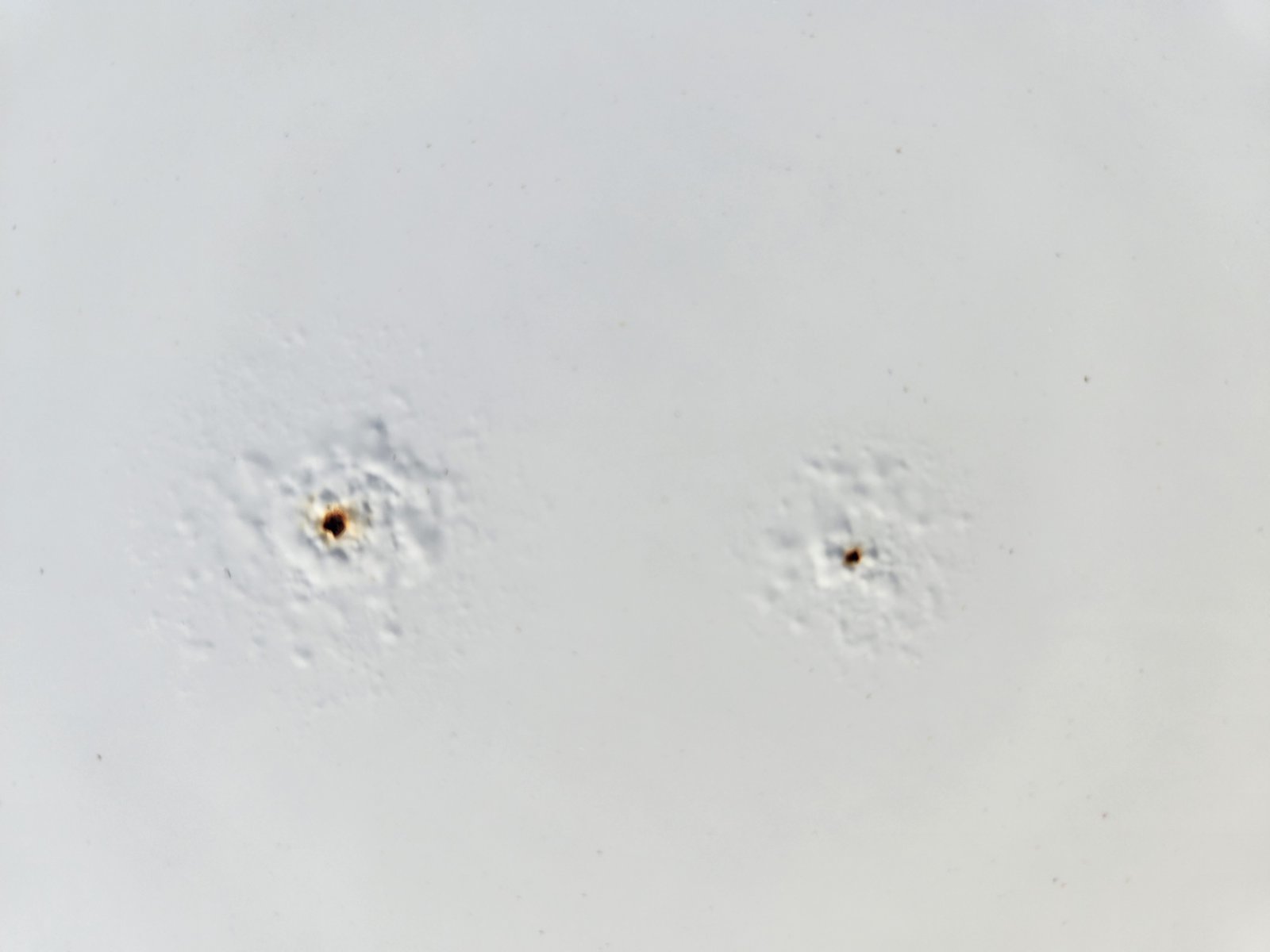 20231210_084909.jpg