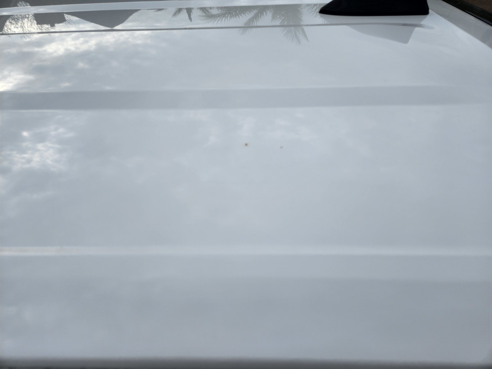 20231212_151859.jpg