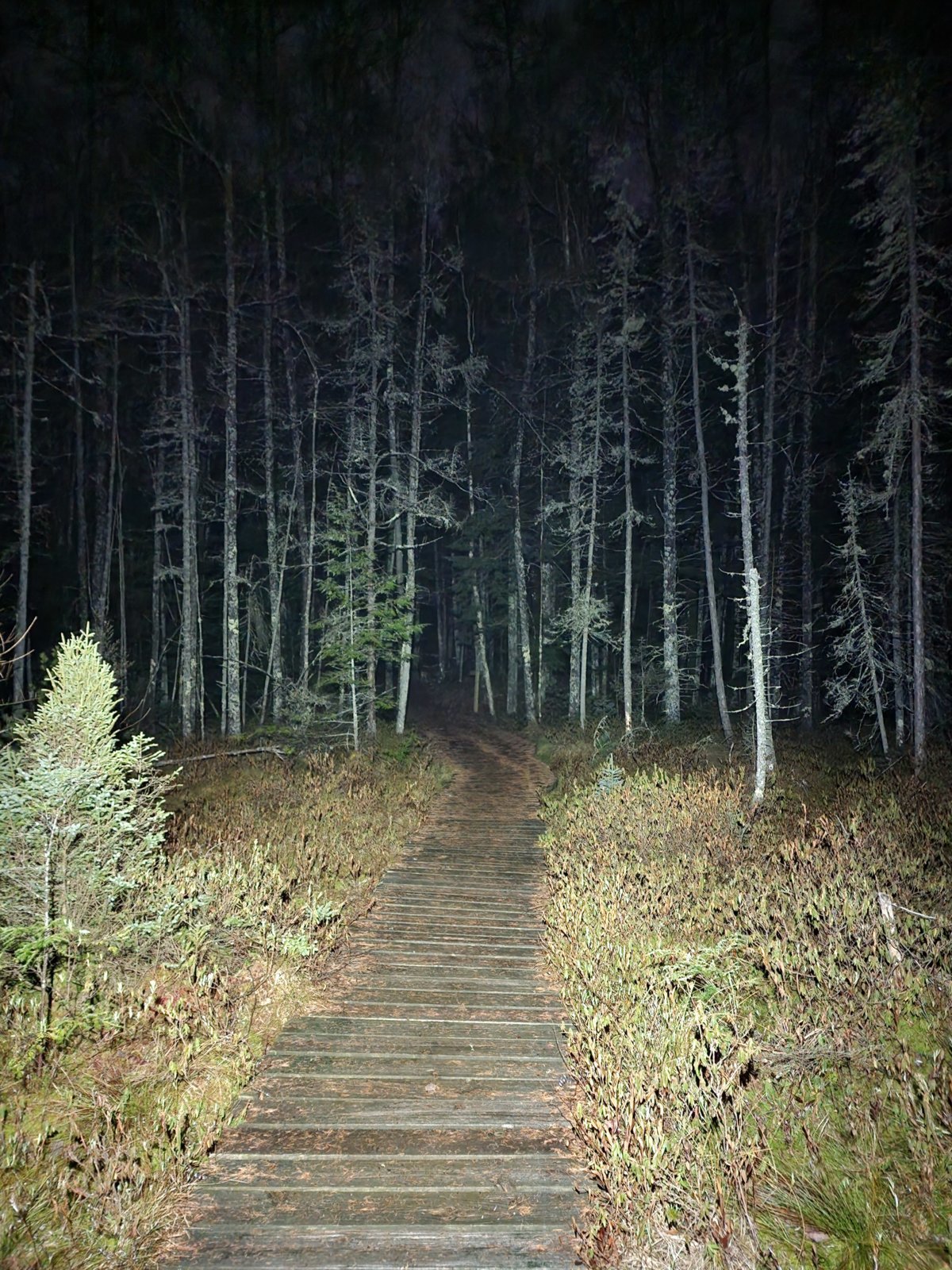 20231224_193207.jpg