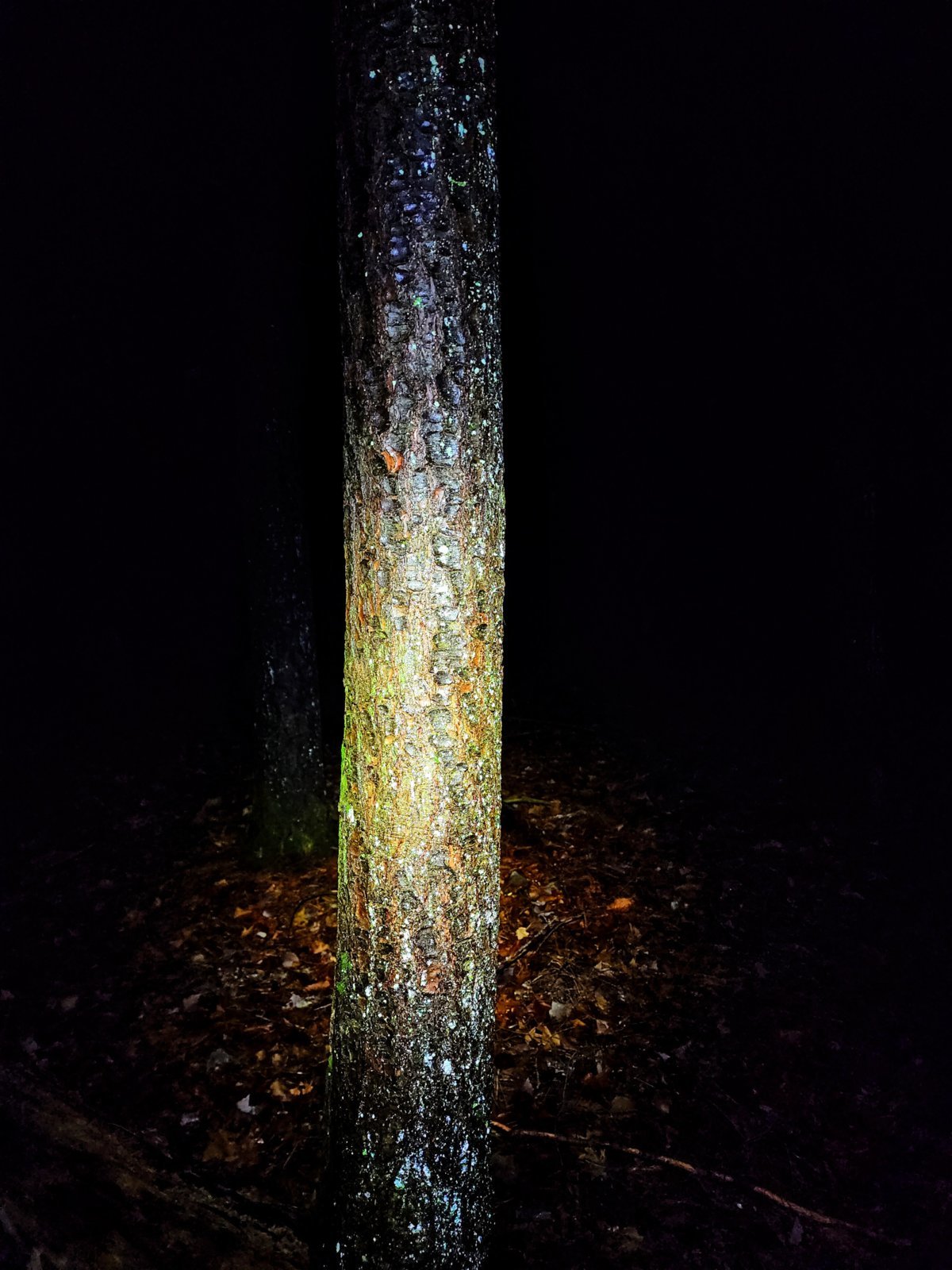 20231224_194033~2.jpg