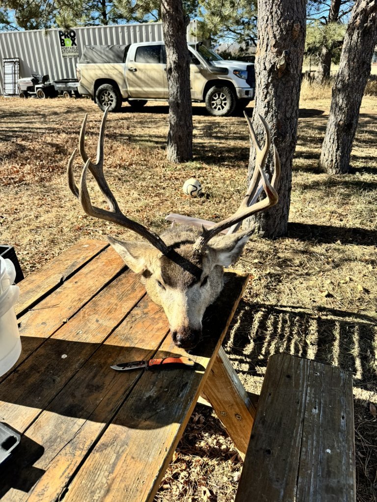 2024 Buck 4.jpg