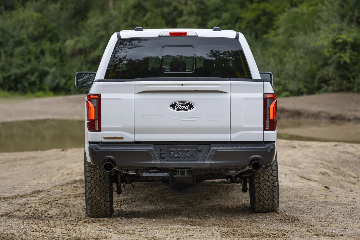 2024-Ford-F-150-Tremor-Press-Photos-Exterior-004-rear-tail-lights-tailgate.jpg