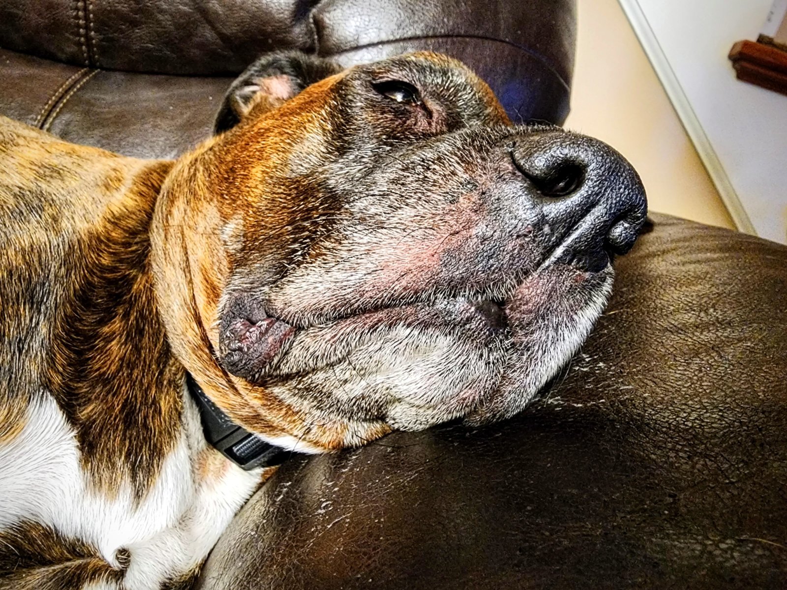 20240113_080450~2.jpg