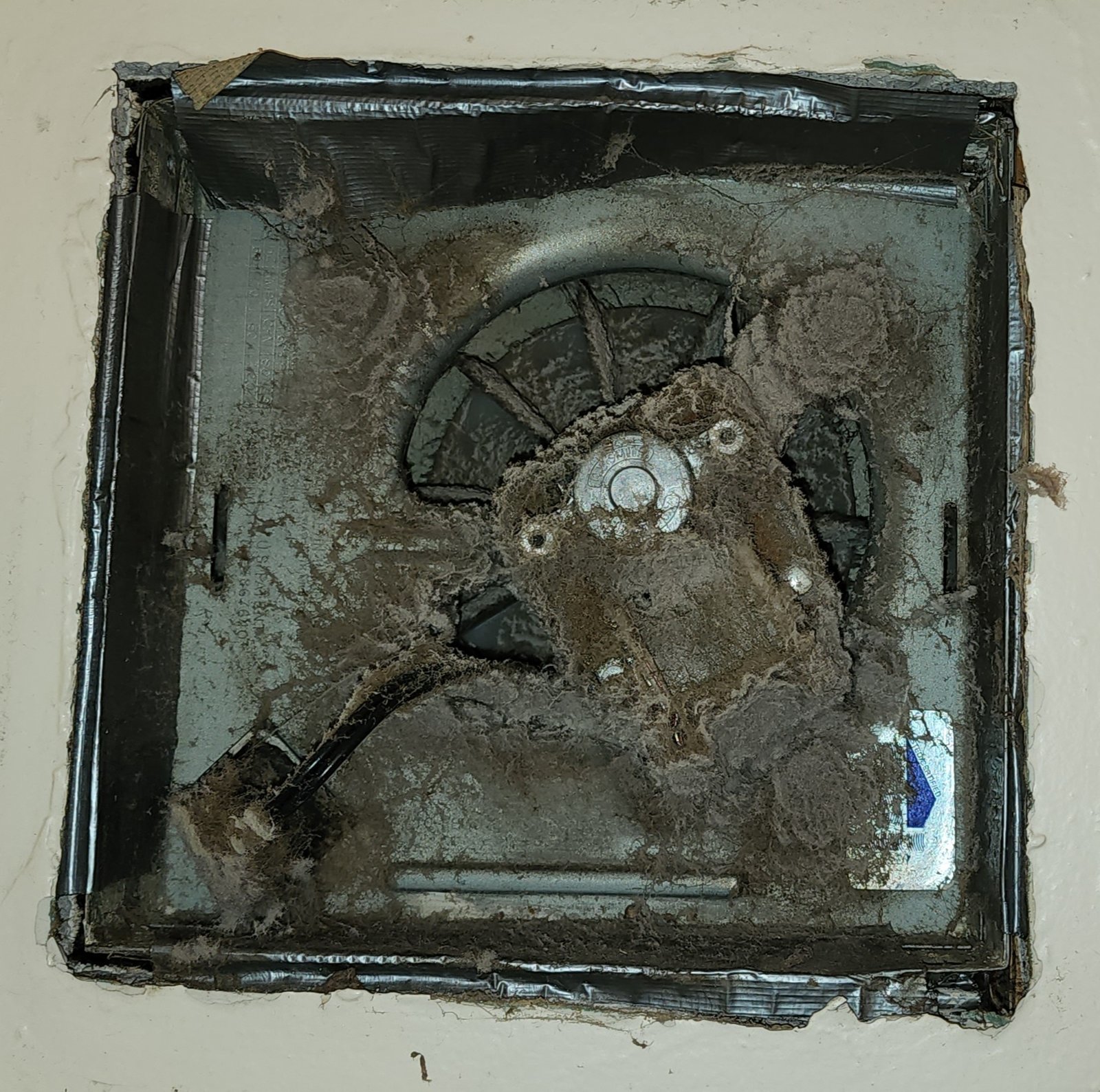 20240131_184010.jpg
