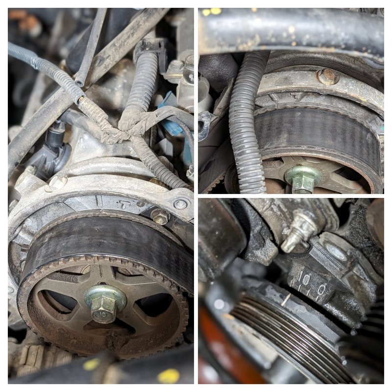 20240204_101611-COLLAGE (1).1.jpg