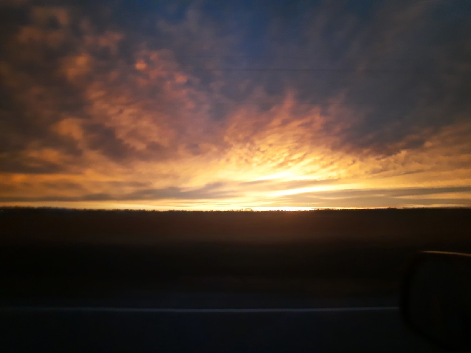 20240207_065511.jpg