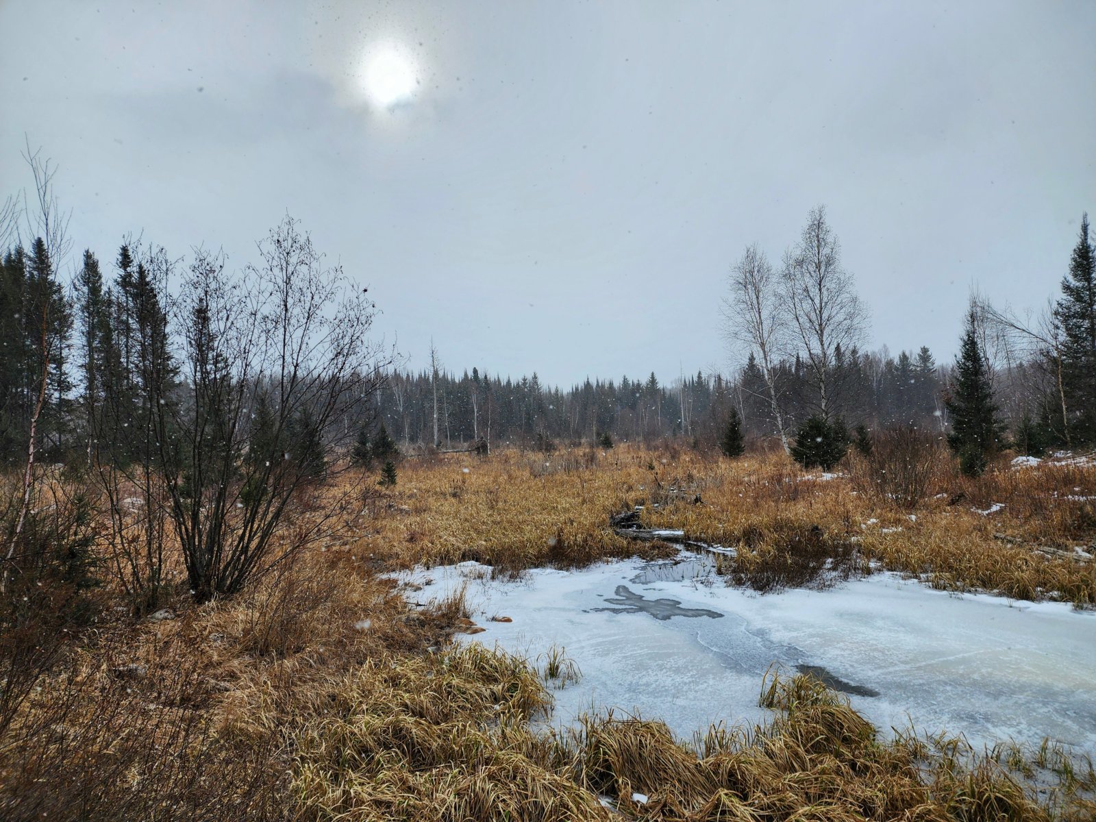 20240223_094538~2.jpg