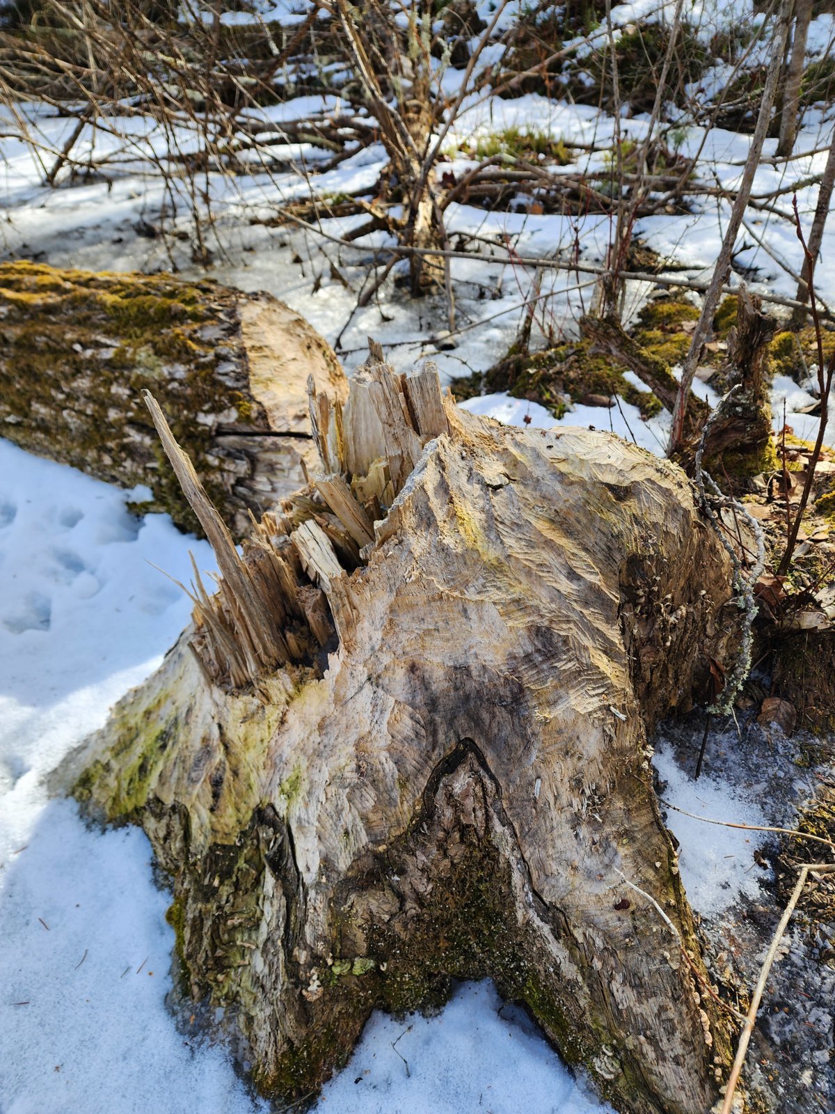 20240224_140312.jpg