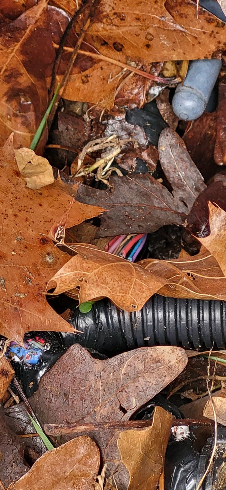 20240302_131126[1777].jpg