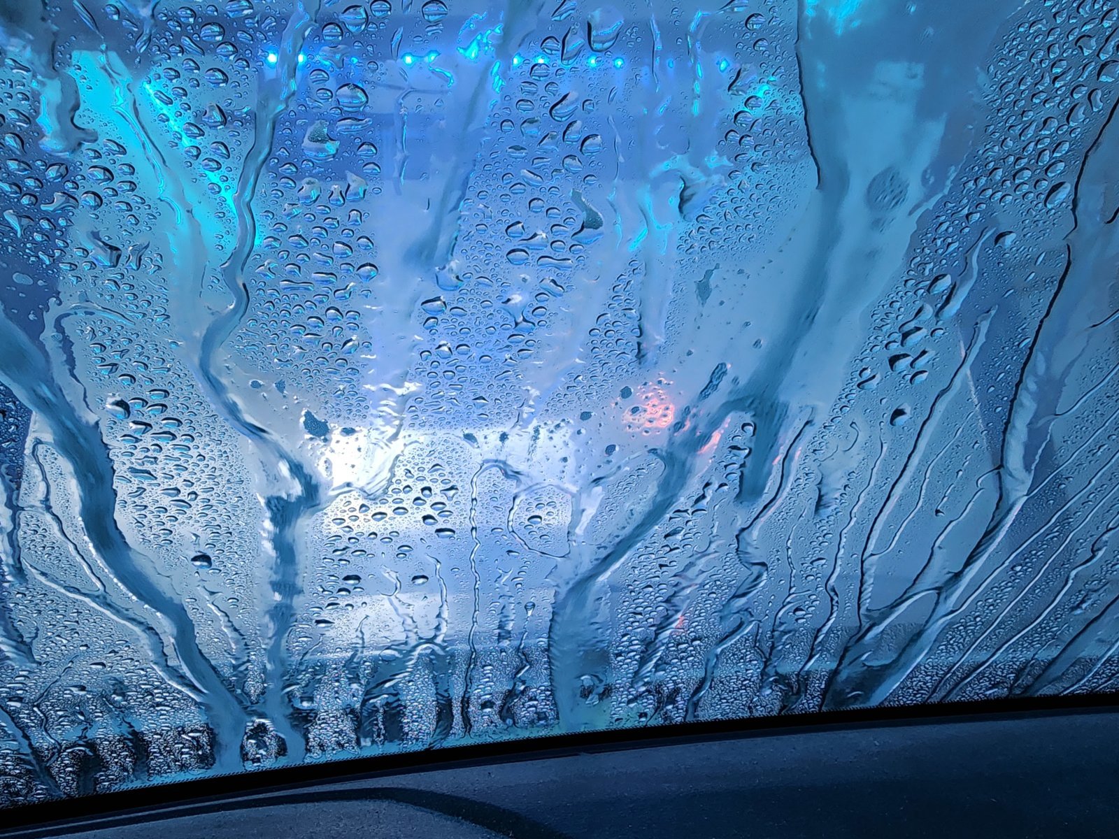 20240331_095001.jpg