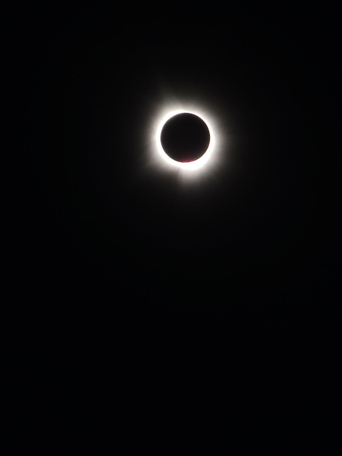 20240408_134809.jpg