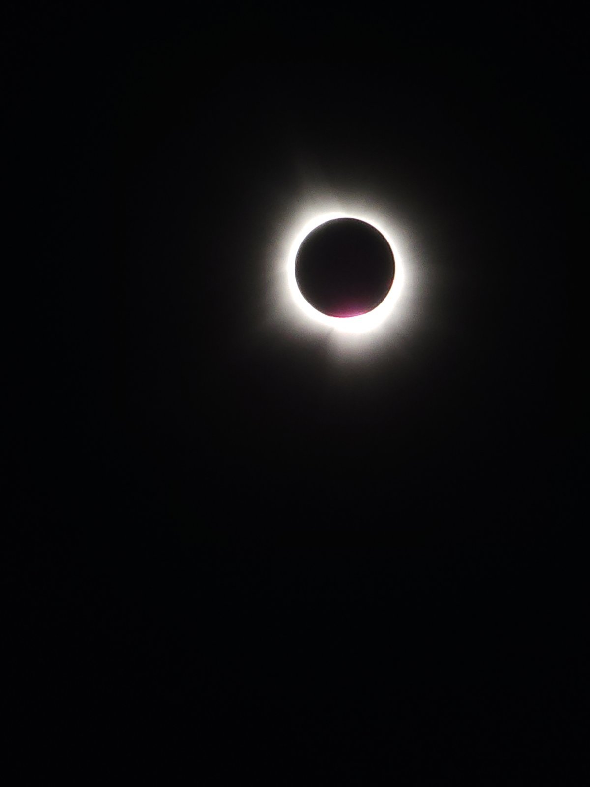 20240408_134818.jpg
