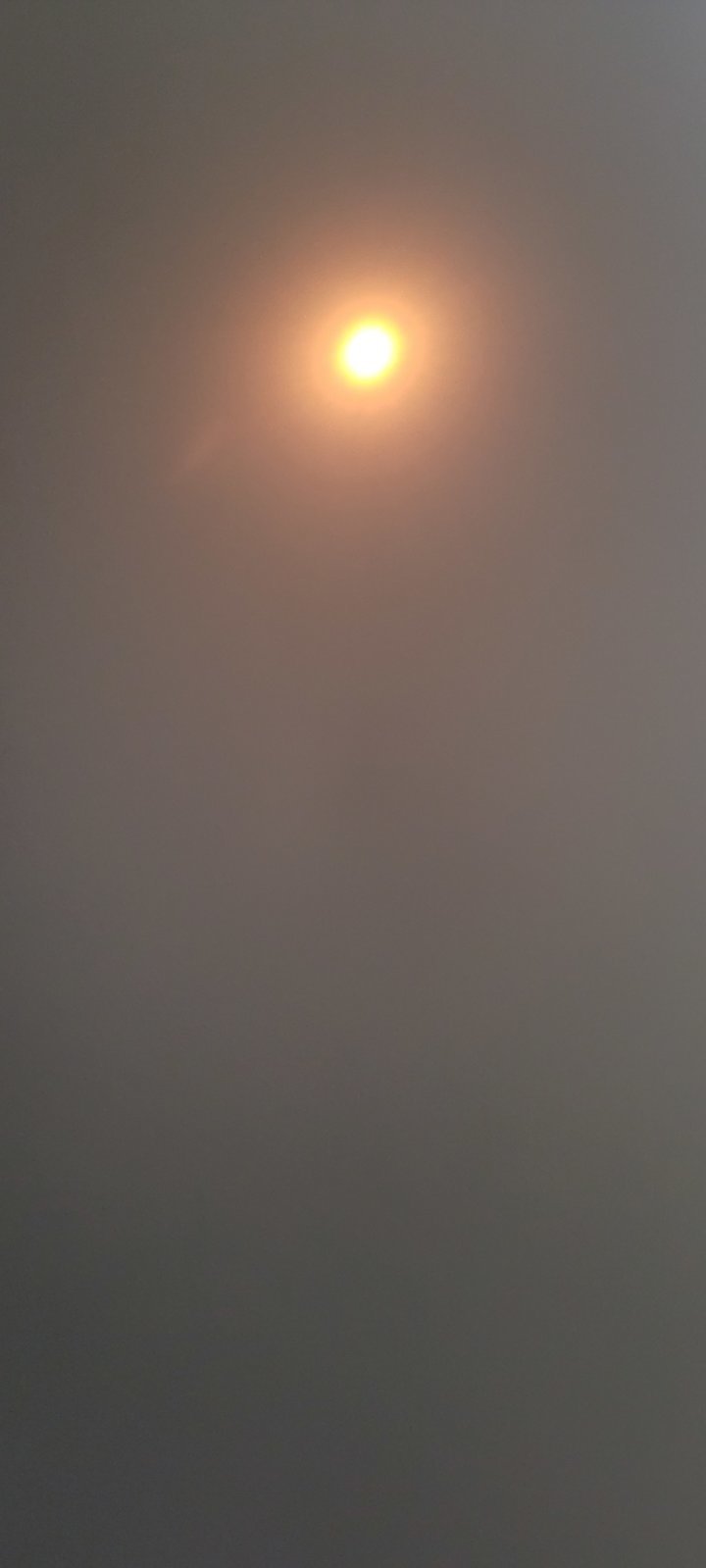 20240408_142628.jpg