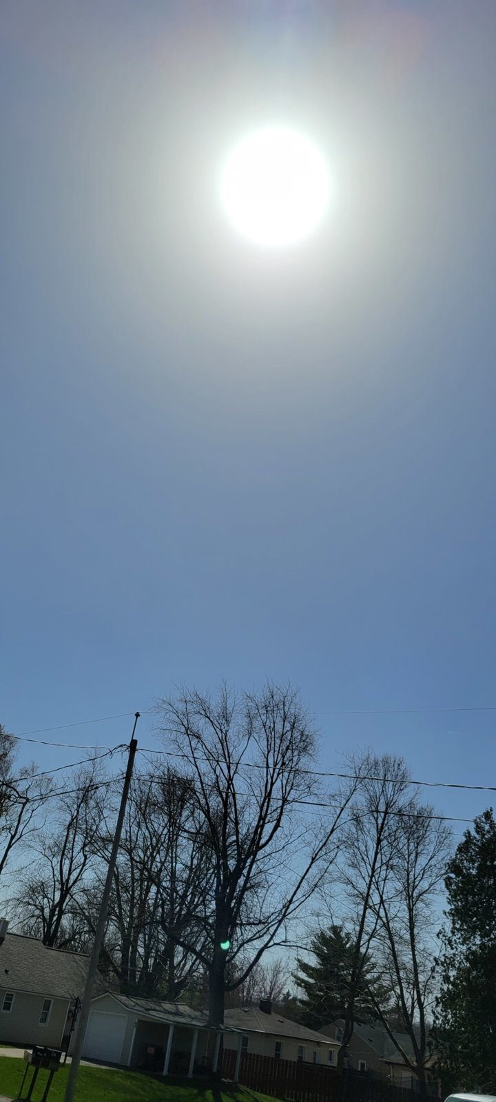 20240408_142754.jpg