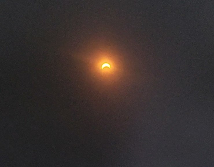 20240408_145108.jpg