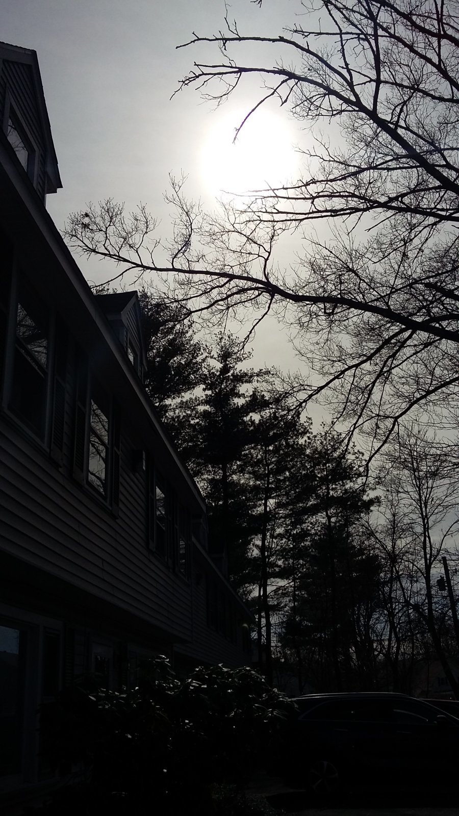 20240408_153440.jpg