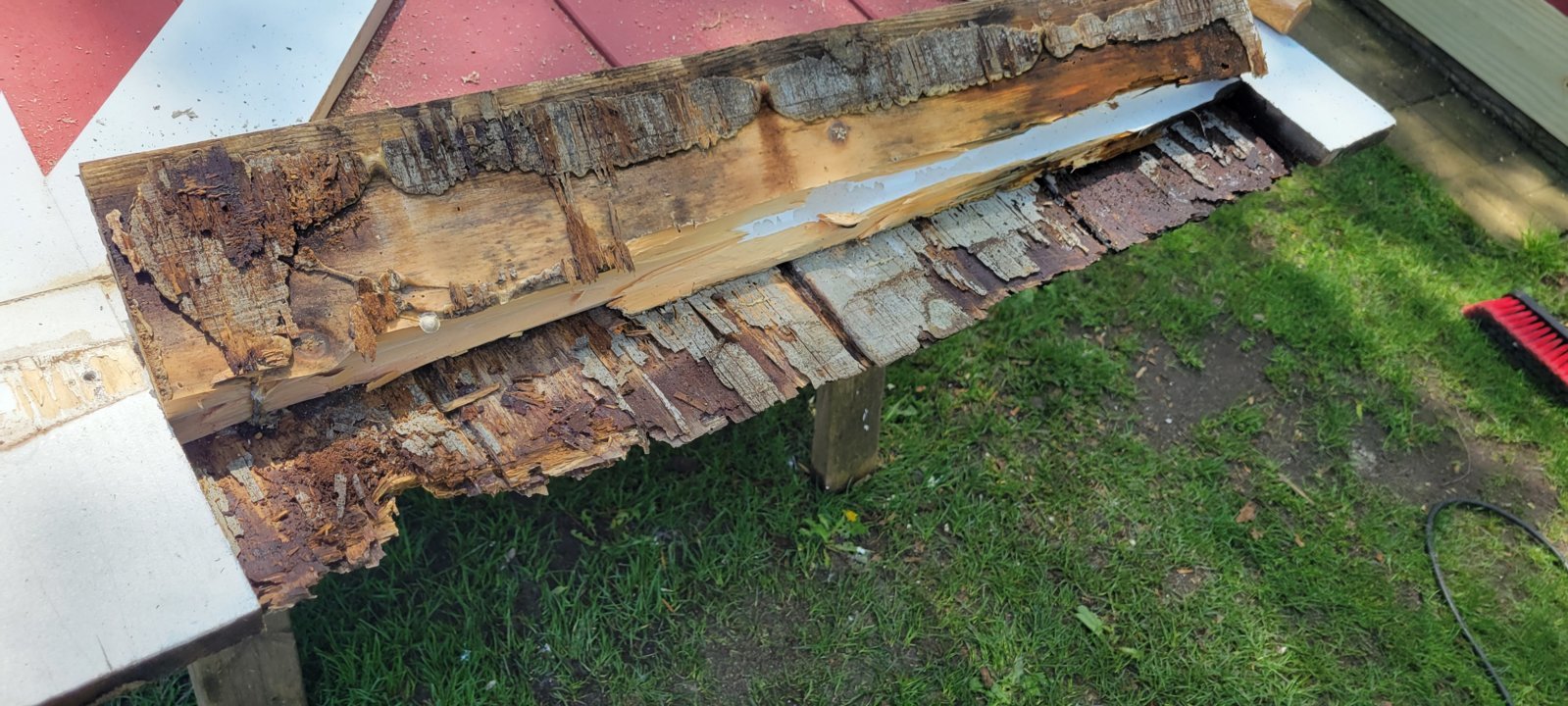20240504_125721.jpg