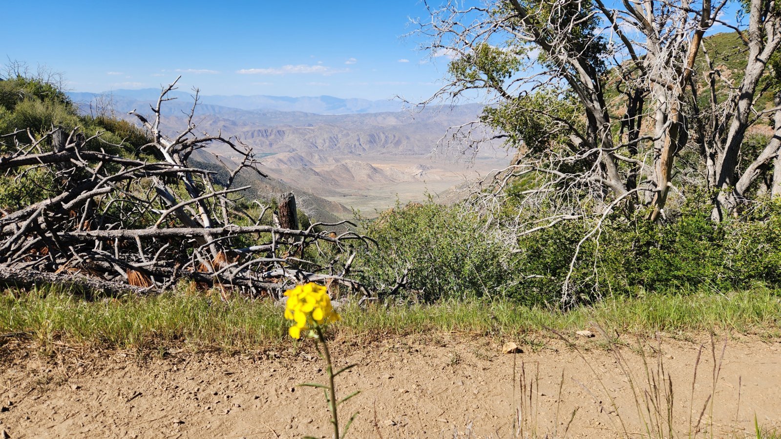 20240512_160834.jpg