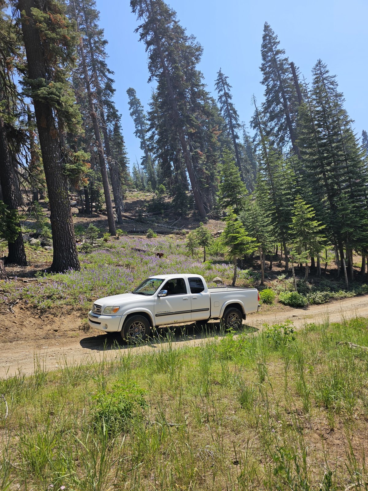 20240629_150314.jpg