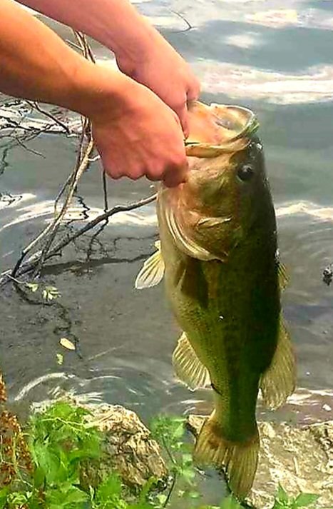 20240630_140049.jpg