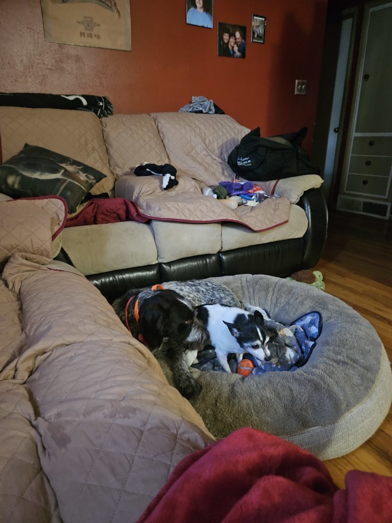 20240826_175018.jpg