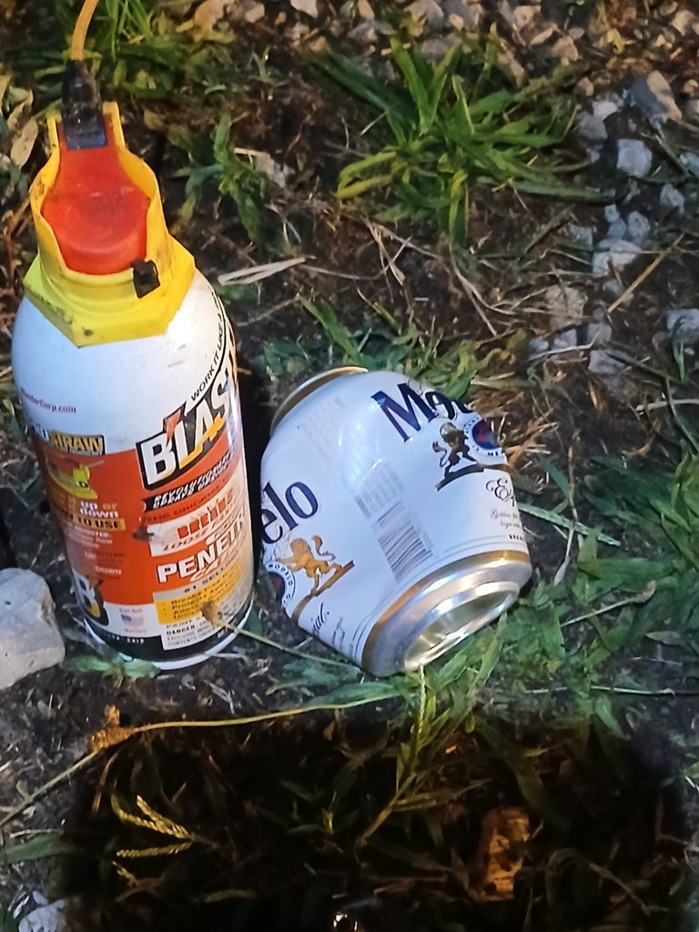 20240902_221702.jpg