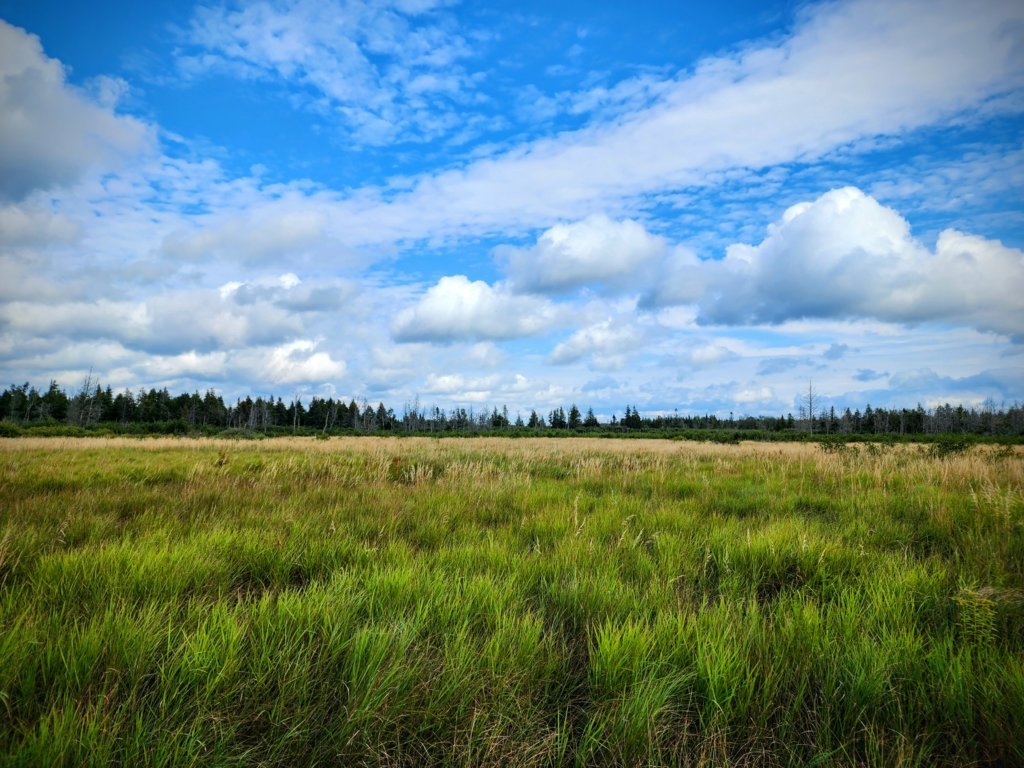 20240905_151054~2.jpg